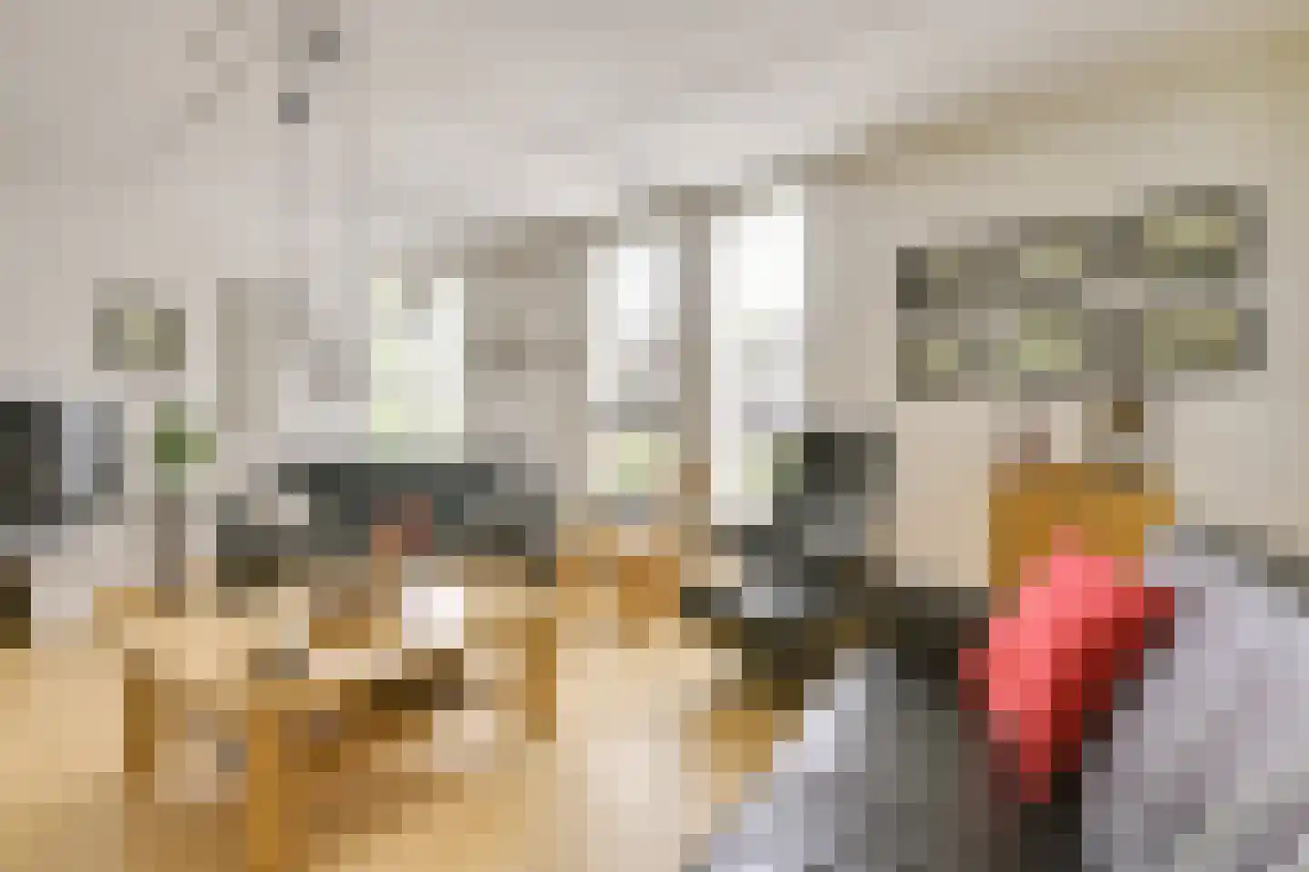 Dorsvlegelweide 9 Nieuwegein thumbnail 6