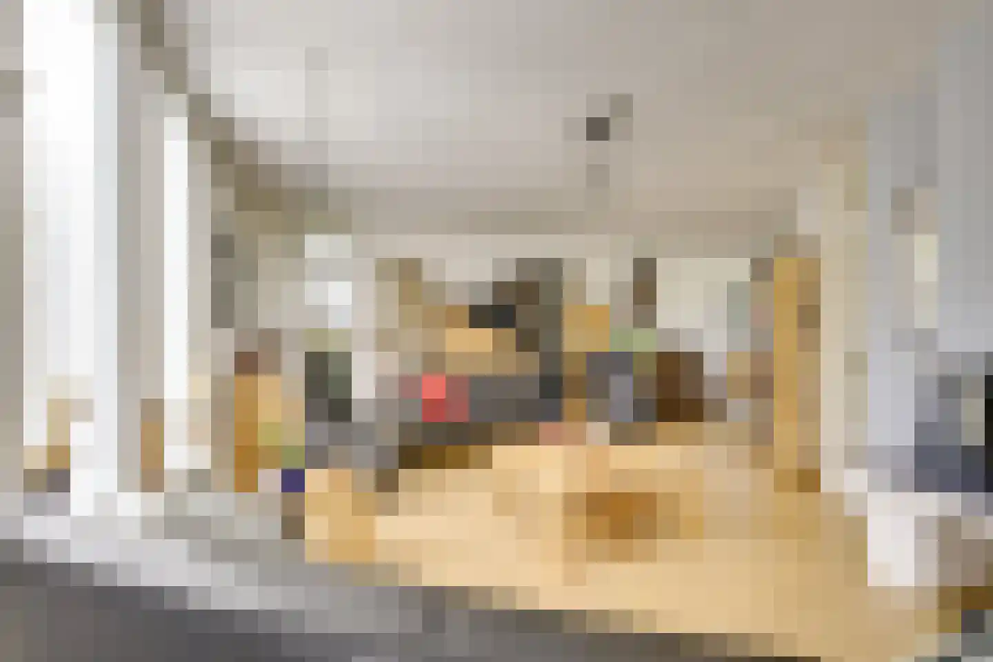 Dorsvlegelweide 9 Nieuwegein thumbnail 8