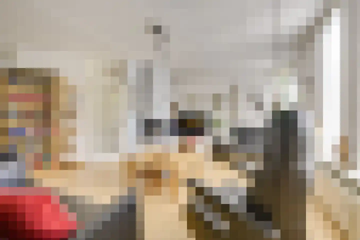 Dorsvlegelweide 9 Nieuwegein thumbnail 9