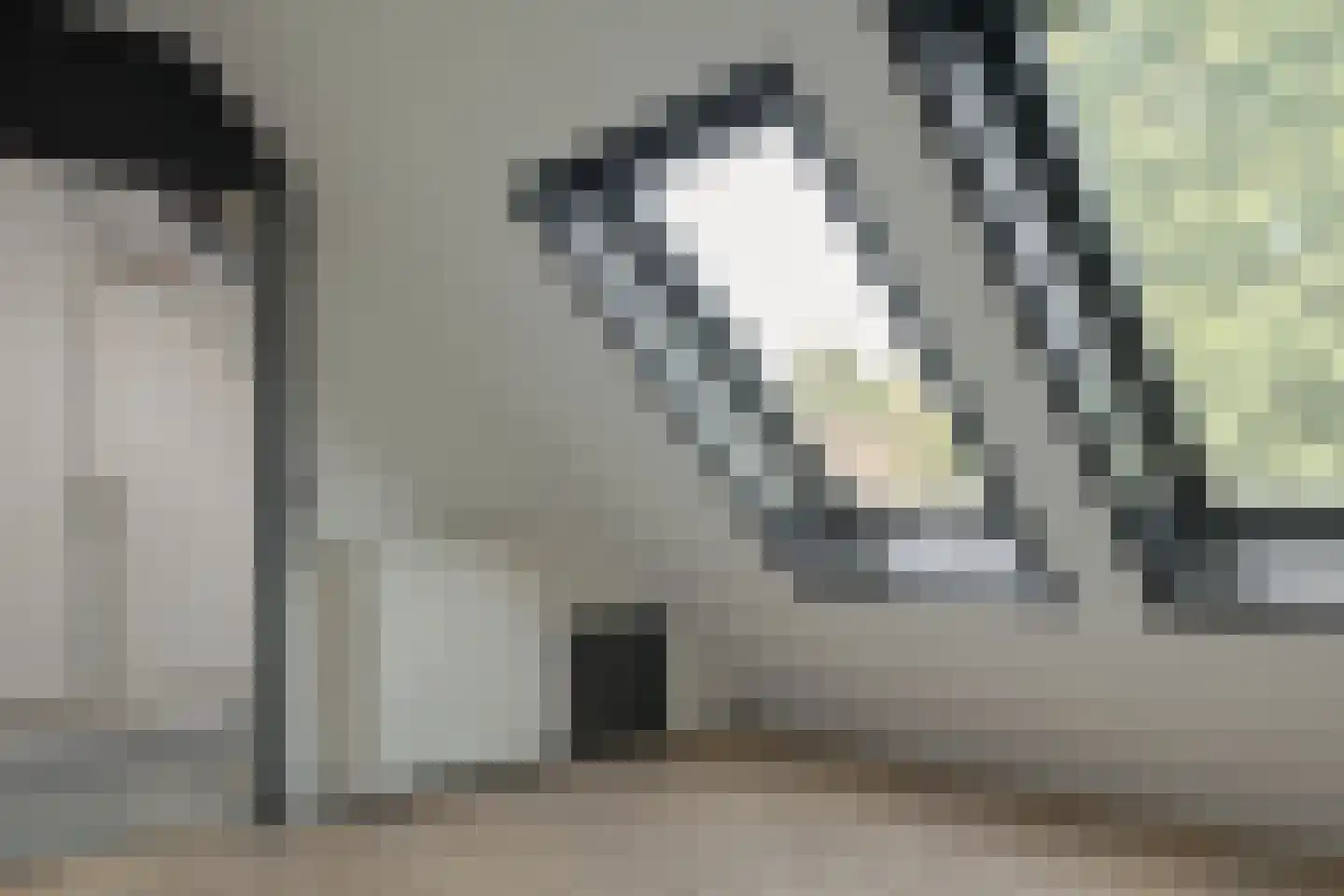 Dorsvloer 106 Drachten thumbnail 22