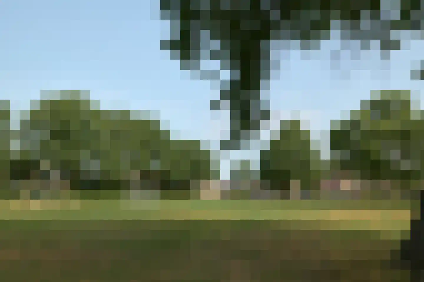 Dorsvloer 106 Drachten thumbnail 4