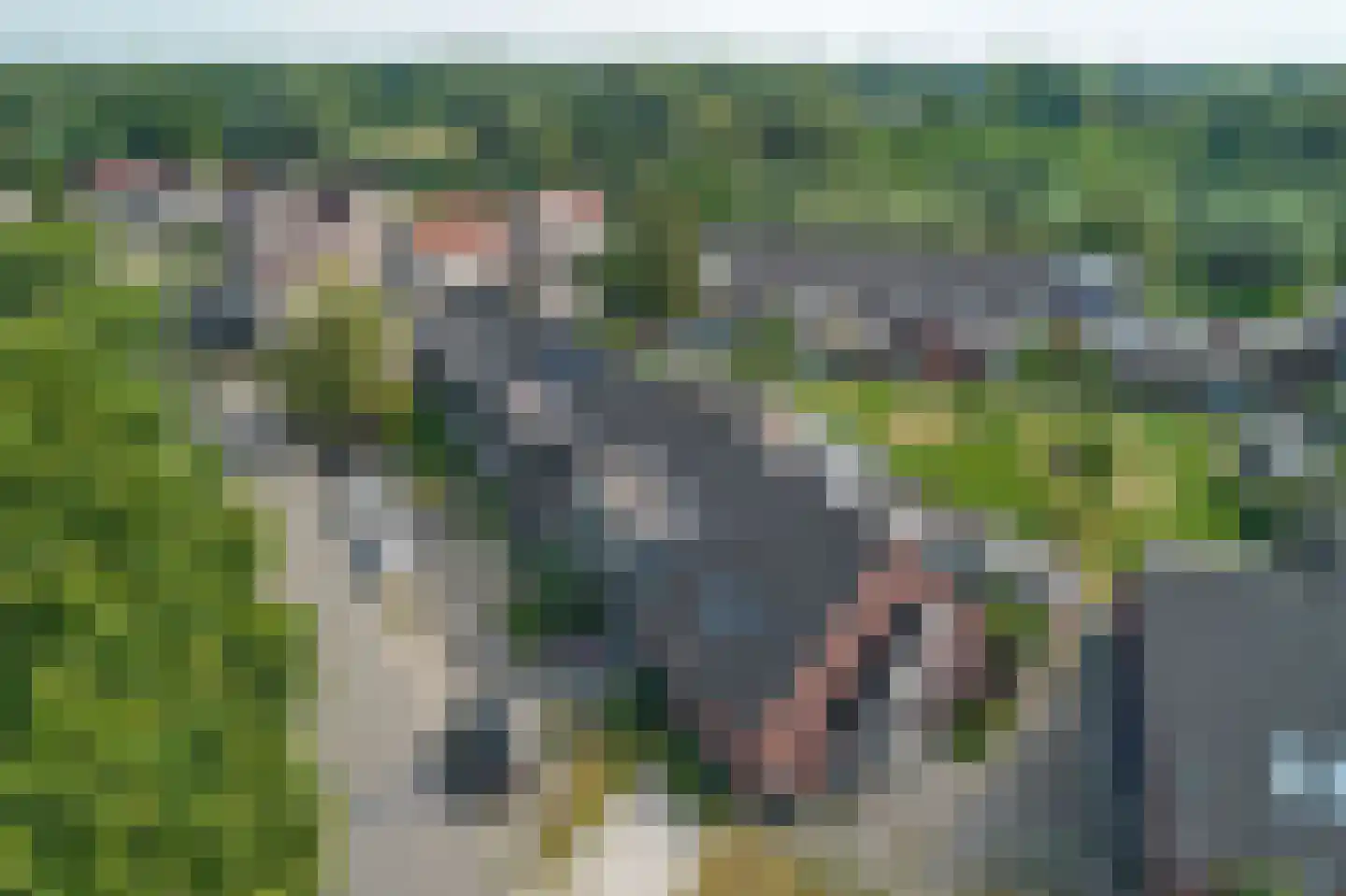 Dorsvloer 106 Drachten thumbnail 9