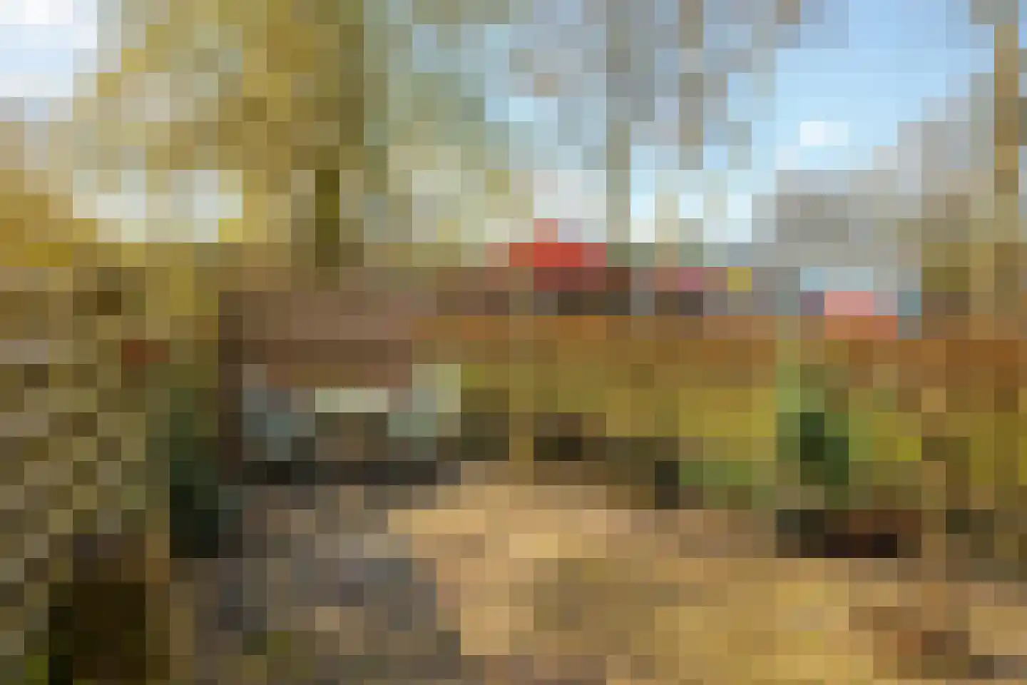 Dorsvloer 39 Drachten thumbnail 38