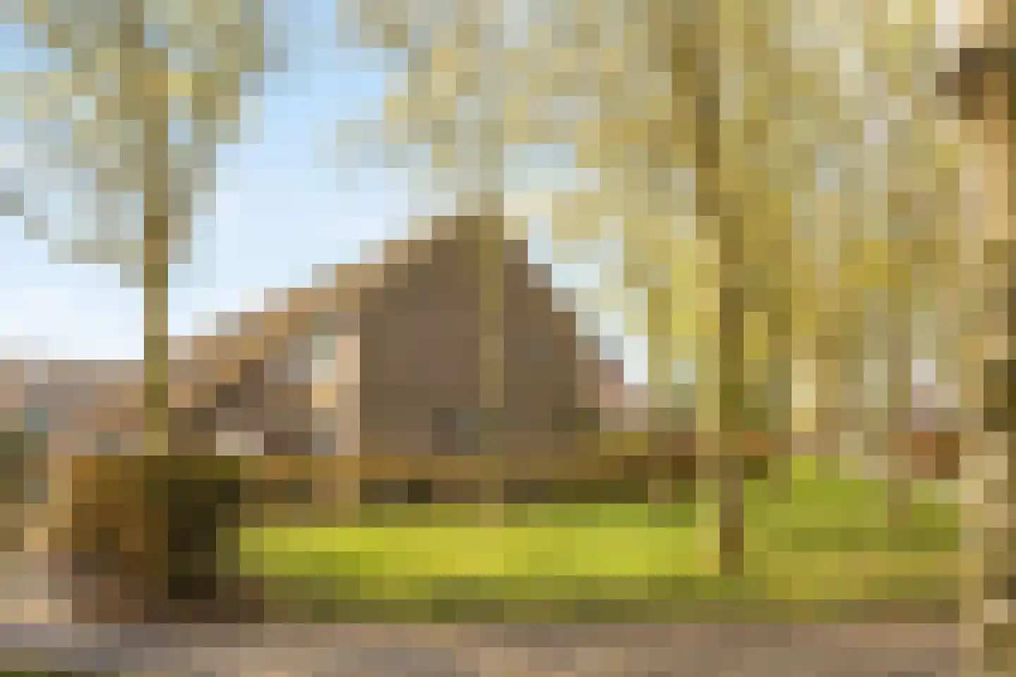 Dorsvloer 39 Drachten thumbnail 40