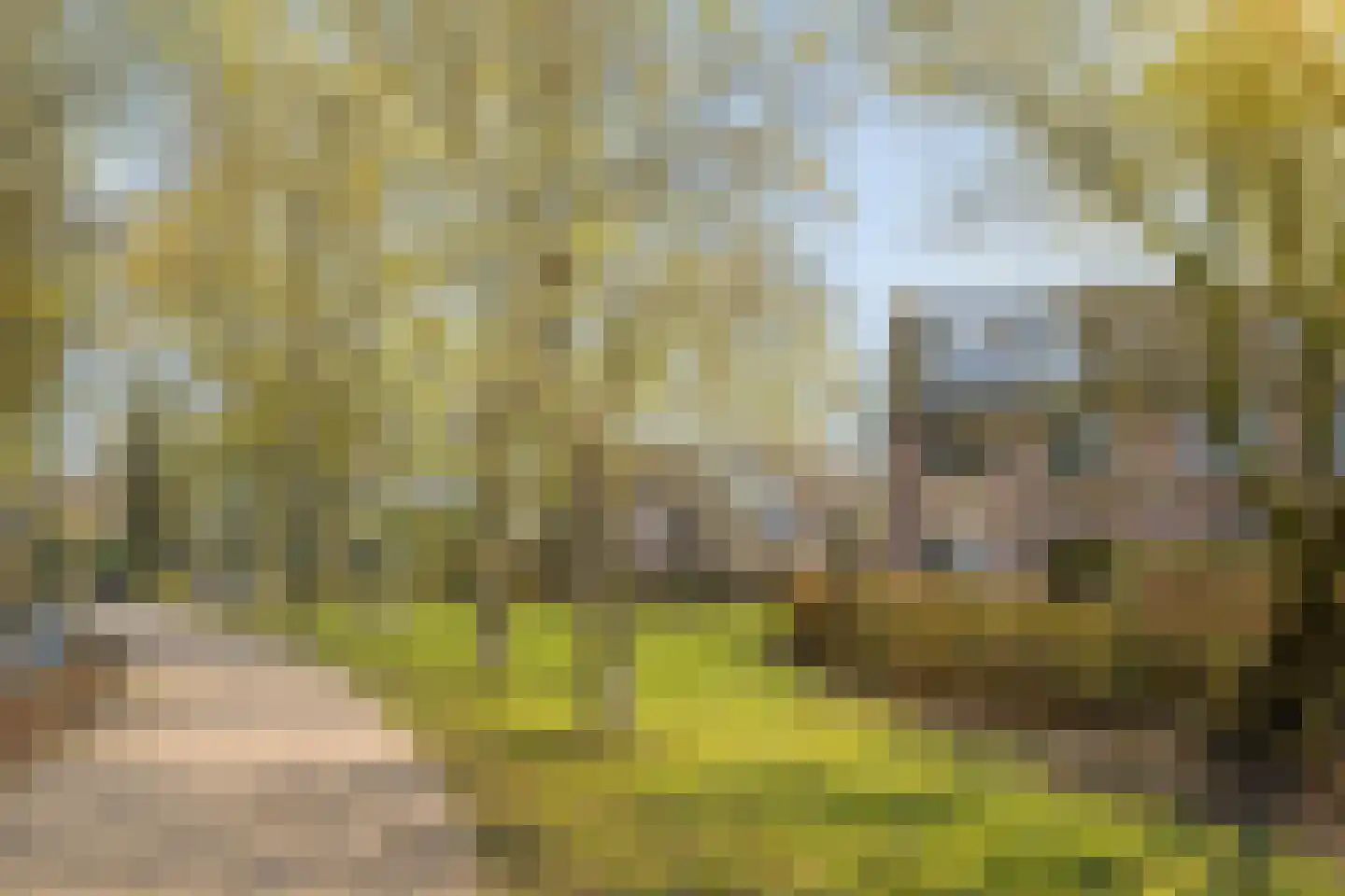 Dorsvloer 39 Drachten thumbnail 42