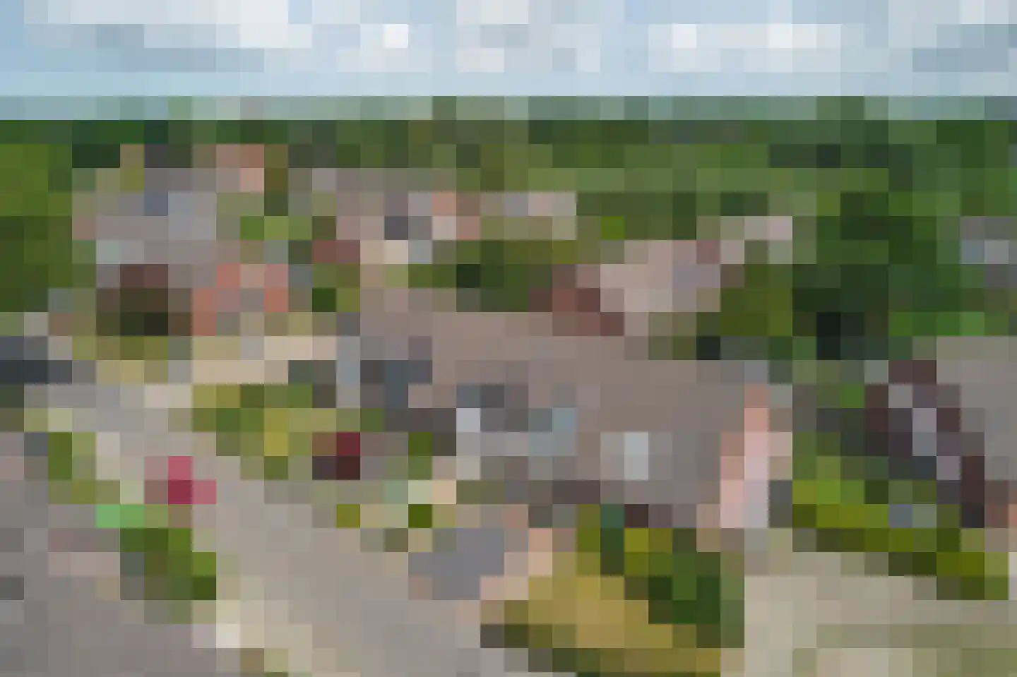 Dorsvloer 40 Drachten thumbnail 10