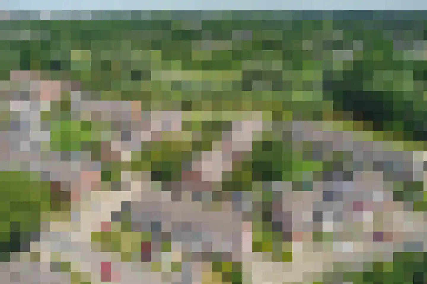 Dorsvloer 40 Drachten thumbnail 11