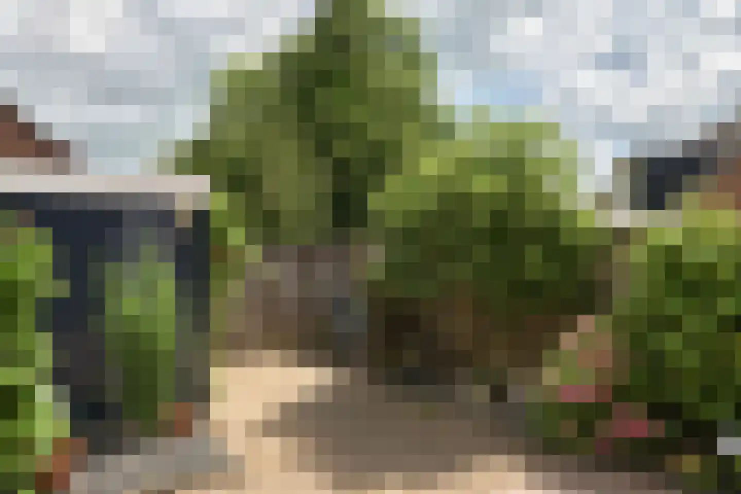 Dorsvloer 40 Drachten thumbnail 6