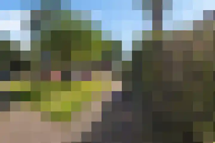 Dorsvloer 45 Drachten thumbnail 15