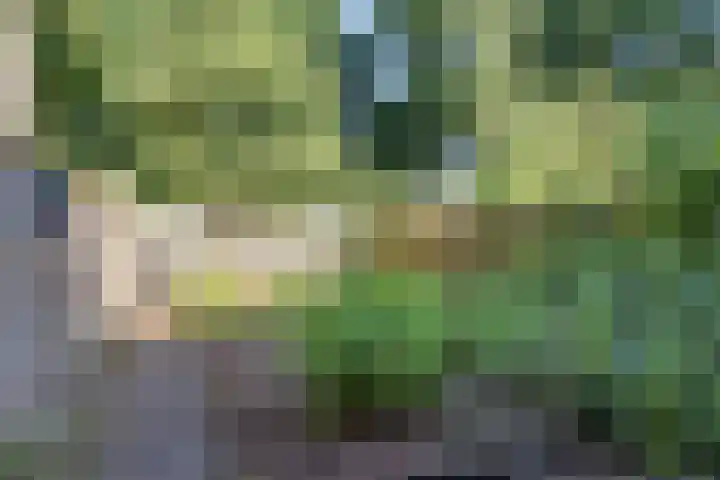 Dorsvloer 45 Drachten thumbnail 38