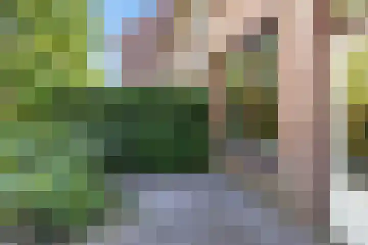 Dorsvloer 45 Drachten thumbnail 39
