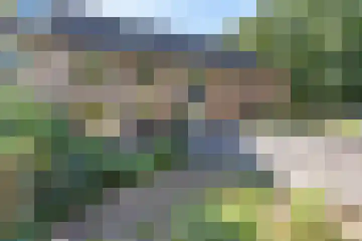 Dorsvloer 45 Drachten thumbnail 41