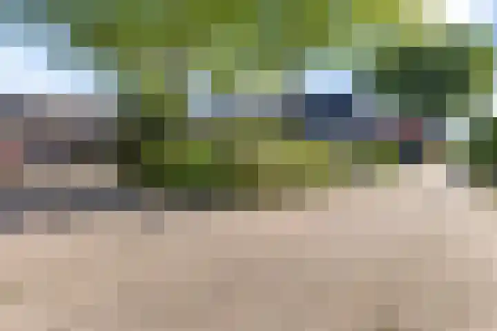 Dorsvloer 45 Drachten thumbnail 5