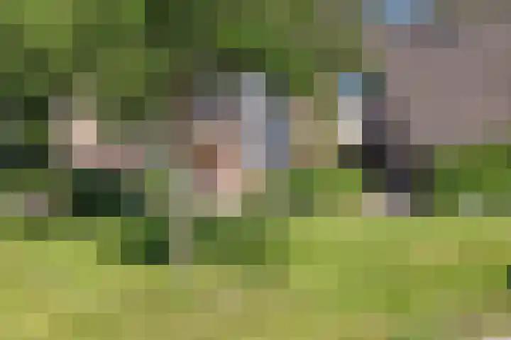 Dorsvloer 45 Drachten thumbnail 6