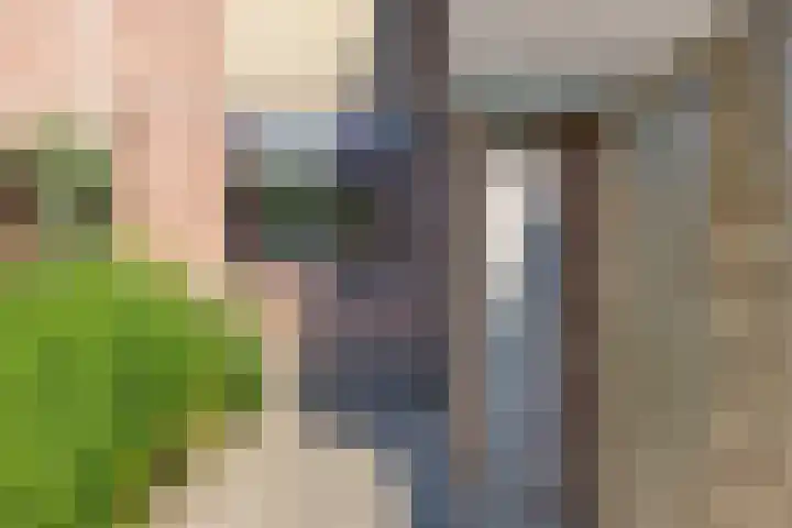 Dorsvloer 45 Drachten thumbnail 7