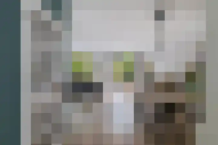 Dorsvloer 47 Drachten thumbnail 15
