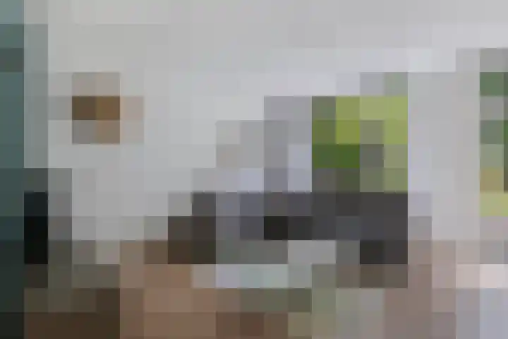 Dorsvloer 47 Drachten thumbnail 16