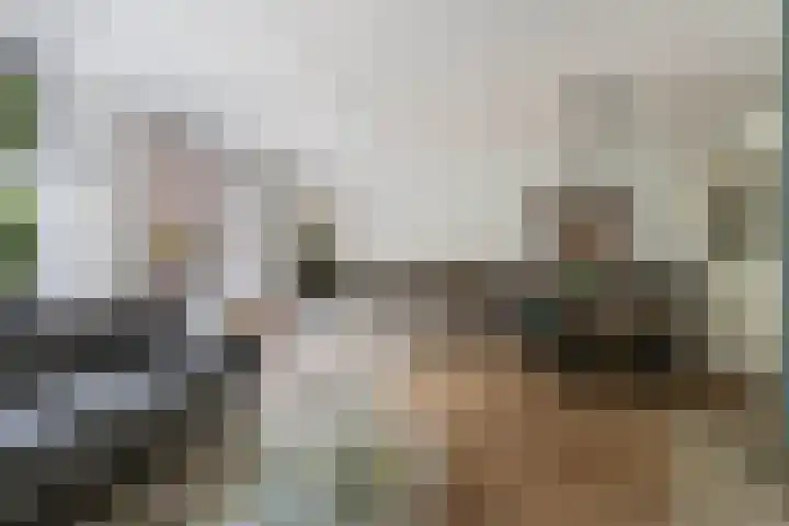 Dorsvloer 47 Drachten thumbnail 18