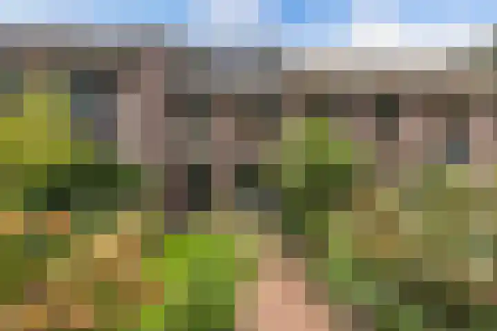 Dorsvloer 47 Drachten thumbnail 25