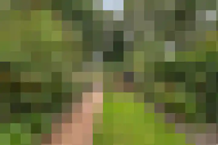 Dorsvloer 47 Drachten thumbnail 27