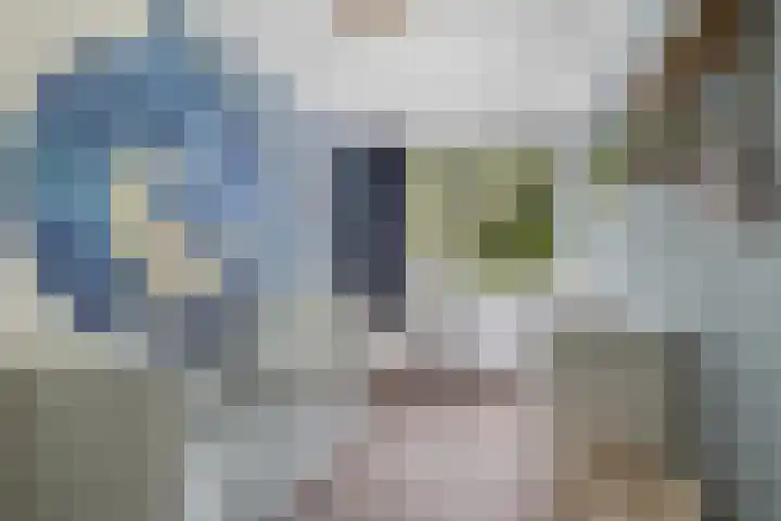 Dorsvloer 47 Drachten thumbnail 33