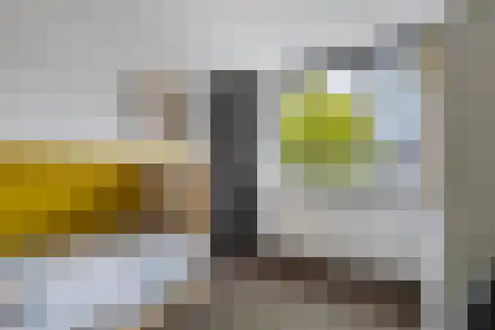 Dorsvloer 47 Drachten thumbnail 35