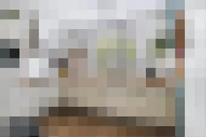 Dorsvloer 47 Drachten thumbnail 4