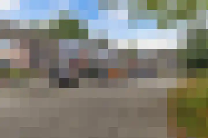 Dorsvloer 47 Drachten thumbnail 45