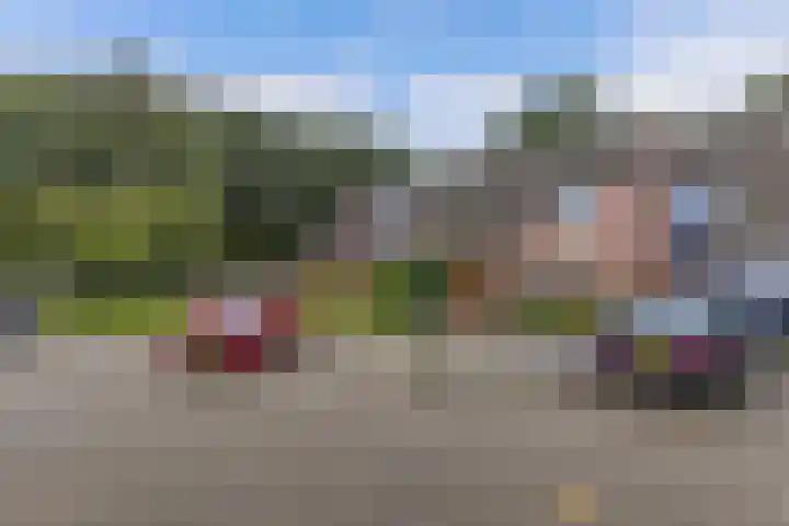 Dorsvloer 47 Drachten thumbnail 6
