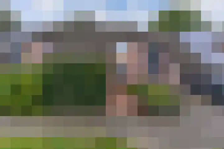 Dorsvloer 47 Drachten thumbnail 7