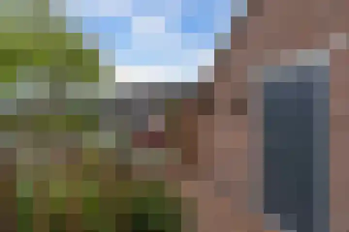 Dorsvloer 47 Drachten thumbnail 9