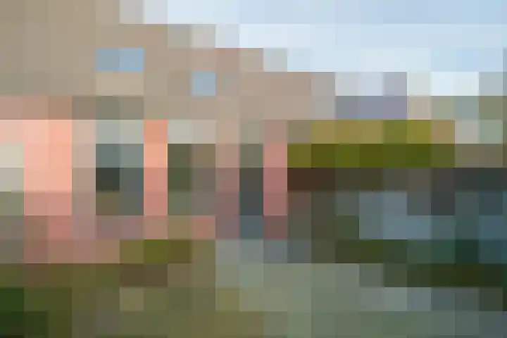 Dorsvloer 62 Drachten thumbnail 33