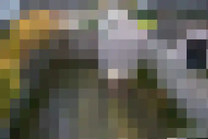 Dorsvloer 62 Drachten thumbnail 35