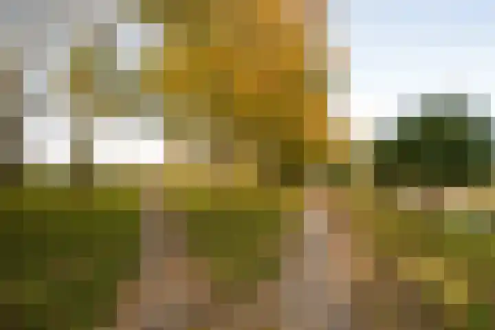 Dorsvloer 62 Drachten thumbnail 38