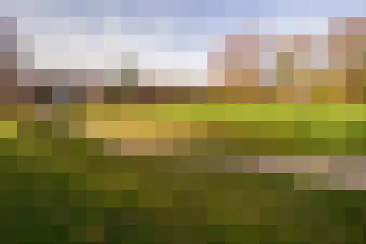 Dorsvloer 62 Drachten thumbnail 39
