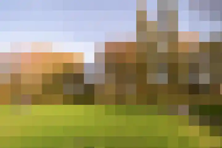 Dorsvloer 62 Drachten thumbnail 41