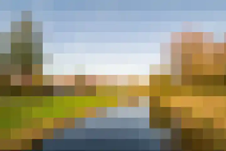 Dorsvloer 62 Drachten thumbnail 42