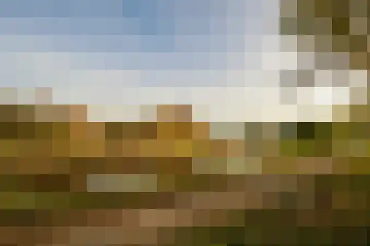 Dorsvloer 62 Drachten thumbnail 43