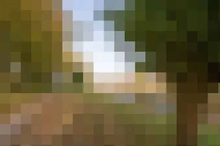 Dorsvloer 62 Drachten thumbnail 5