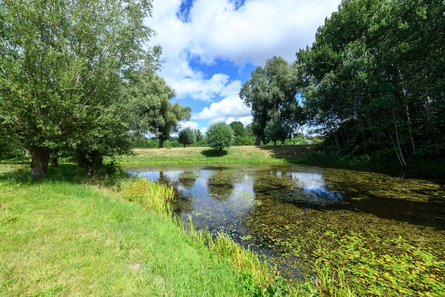 Dorsvloer 66 Drachten thumbnail 27
