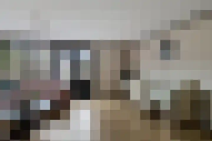 Dorsvloer 84 Drachten thumbnail 14