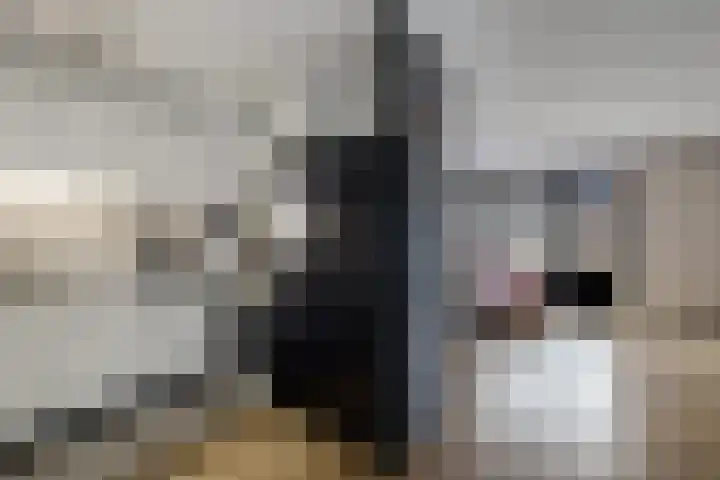 Dorsvloer 84 Drachten thumbnail 24