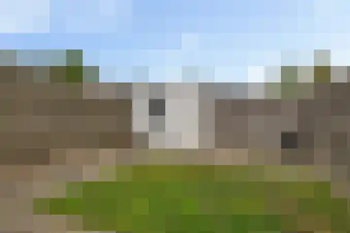 Dorsvloer 84 Drachten thumbnail 29