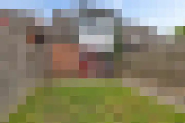 Dorsvloer 84 Drachten thumbnail 30