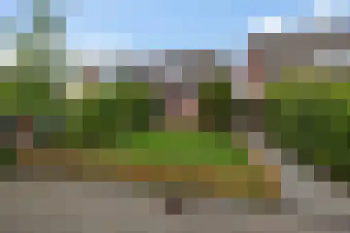 Dorsvloer 84 Drachten thumbnail 6