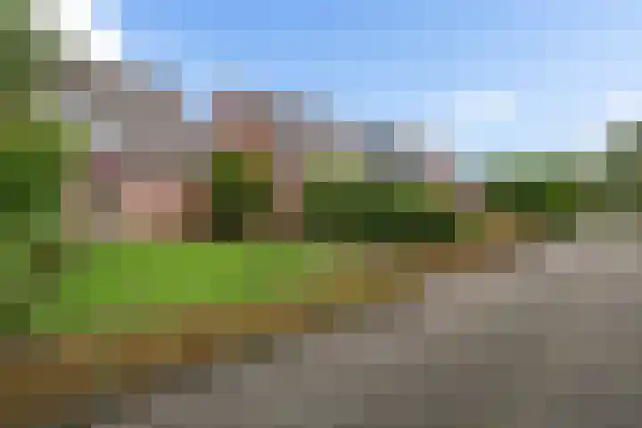 Dorsvloer 84 Drachten thumbnail 7