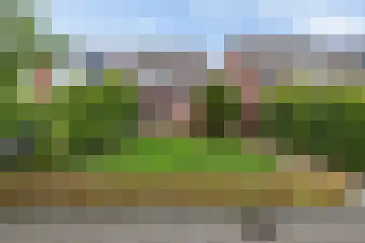Dorsvloer 84 Drachten thumbnail 8