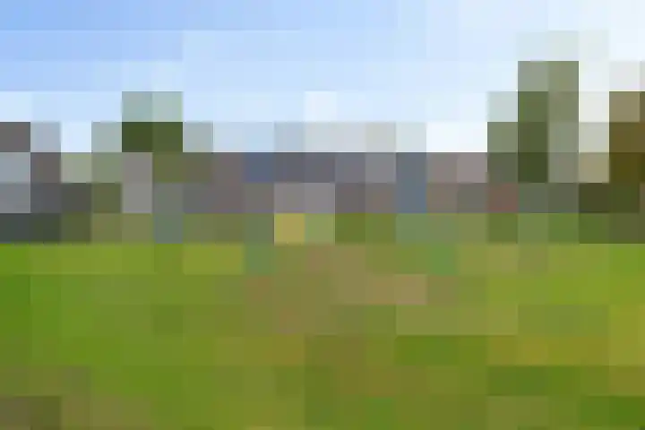 Dorsvloer 84 Drachten thumbnail 9