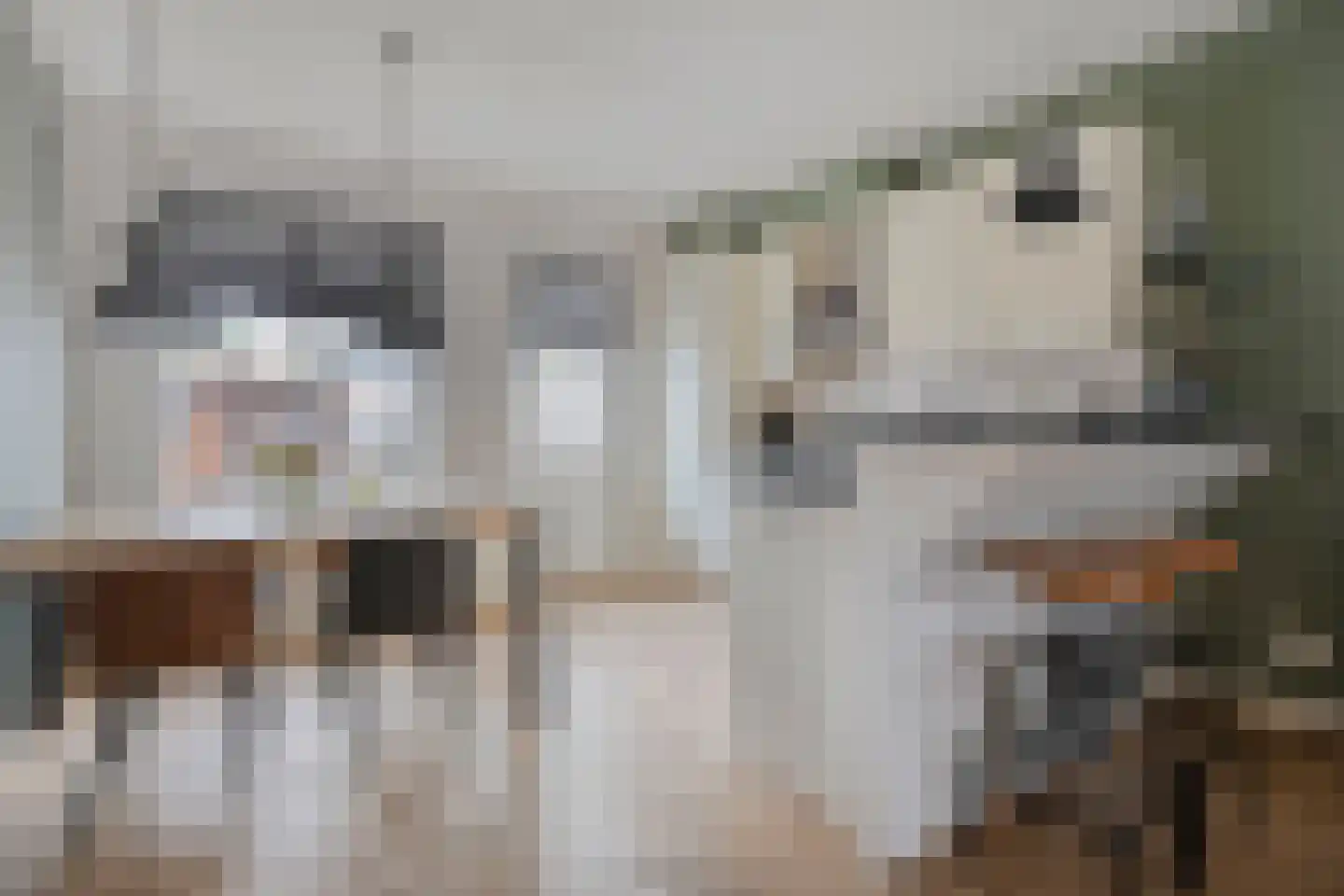Dorsweg 16 Lemele thumbnail 10