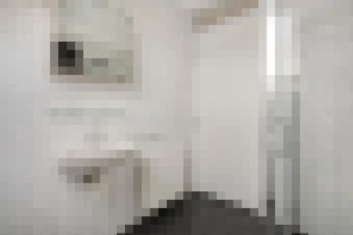 Dorsweg 16 Lemele thumbnail 26